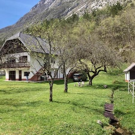 Roja House Leilighet Soča Eksteriør bilde